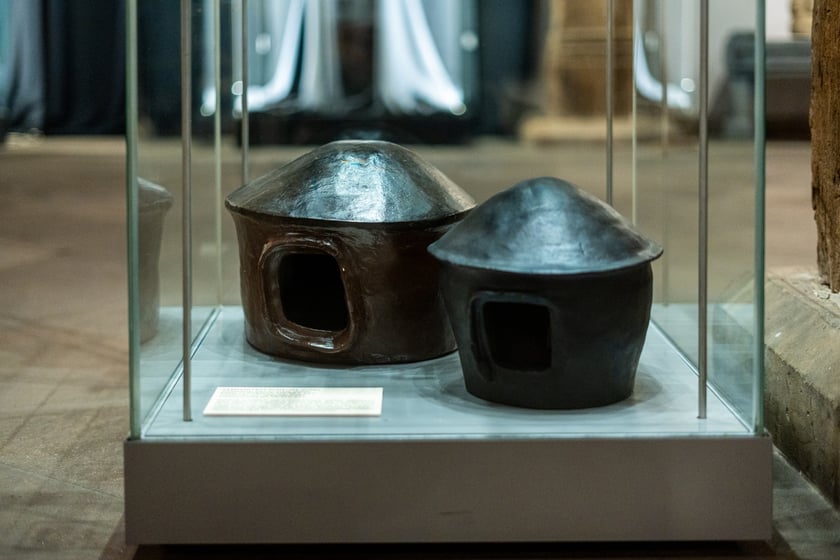 Wystawa Artificalia, naturalia, exotica w Muzeum Archeologicznym we Wrocławiu